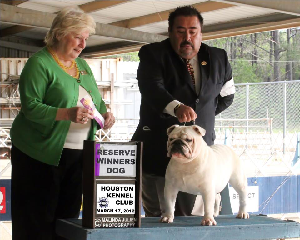 Reserve Dog
